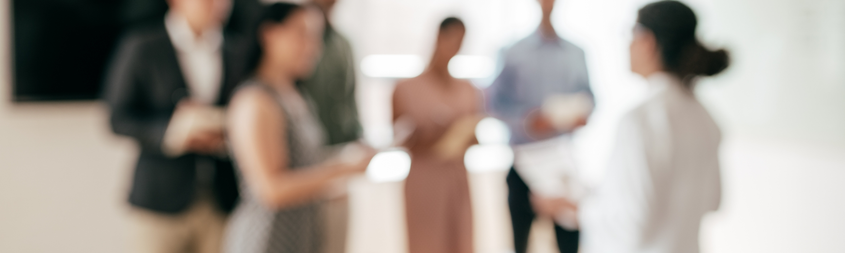 HSE-W Danışmanlık Modülleri